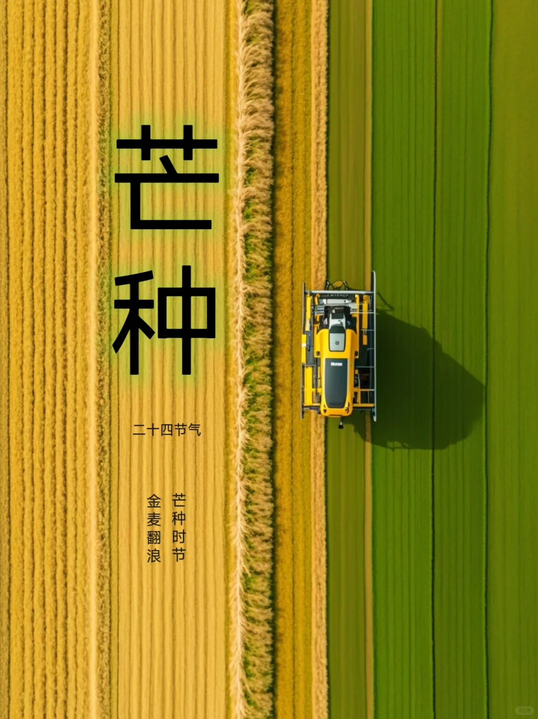 二十四节气｜芒种节气｜24节气｜创意海报