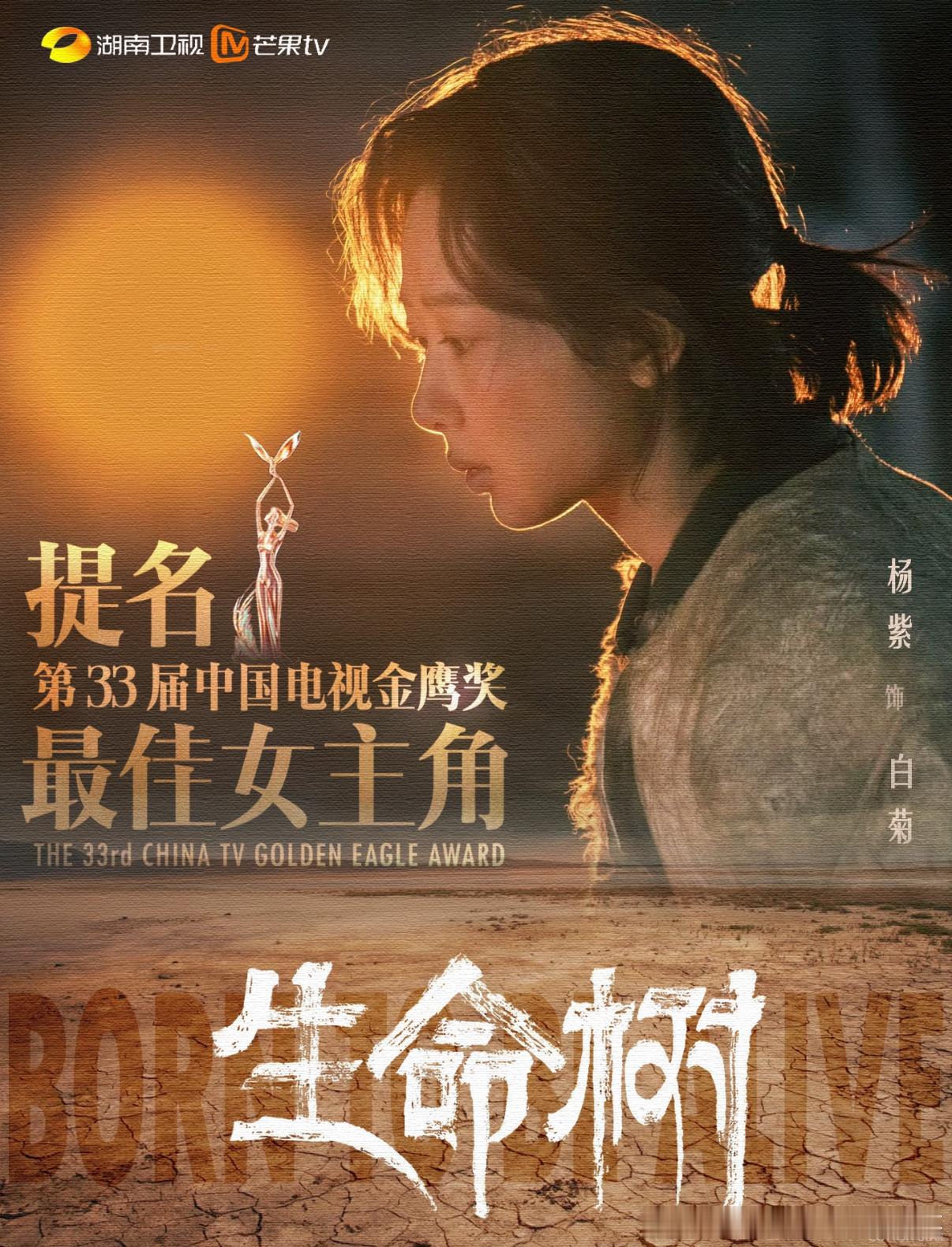 金鹰节公告期待月底的金鹰奖颁奖晚会 支持杨紫获奖生命树夯爆啦 化身为白菊，在《生