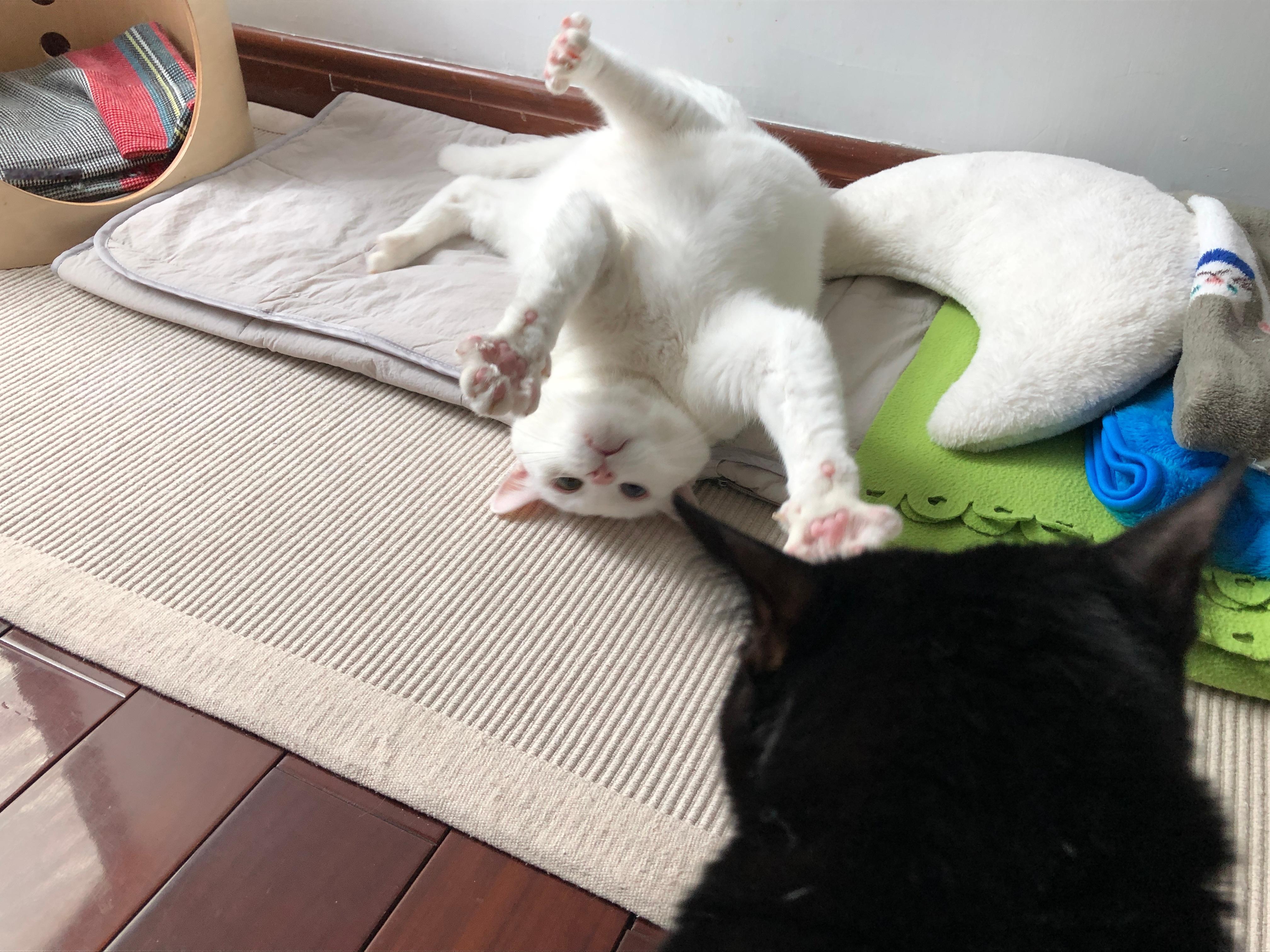 滑到舊照，是老吉和阿蝦打鬧時，現在翻不動了～ ​​​