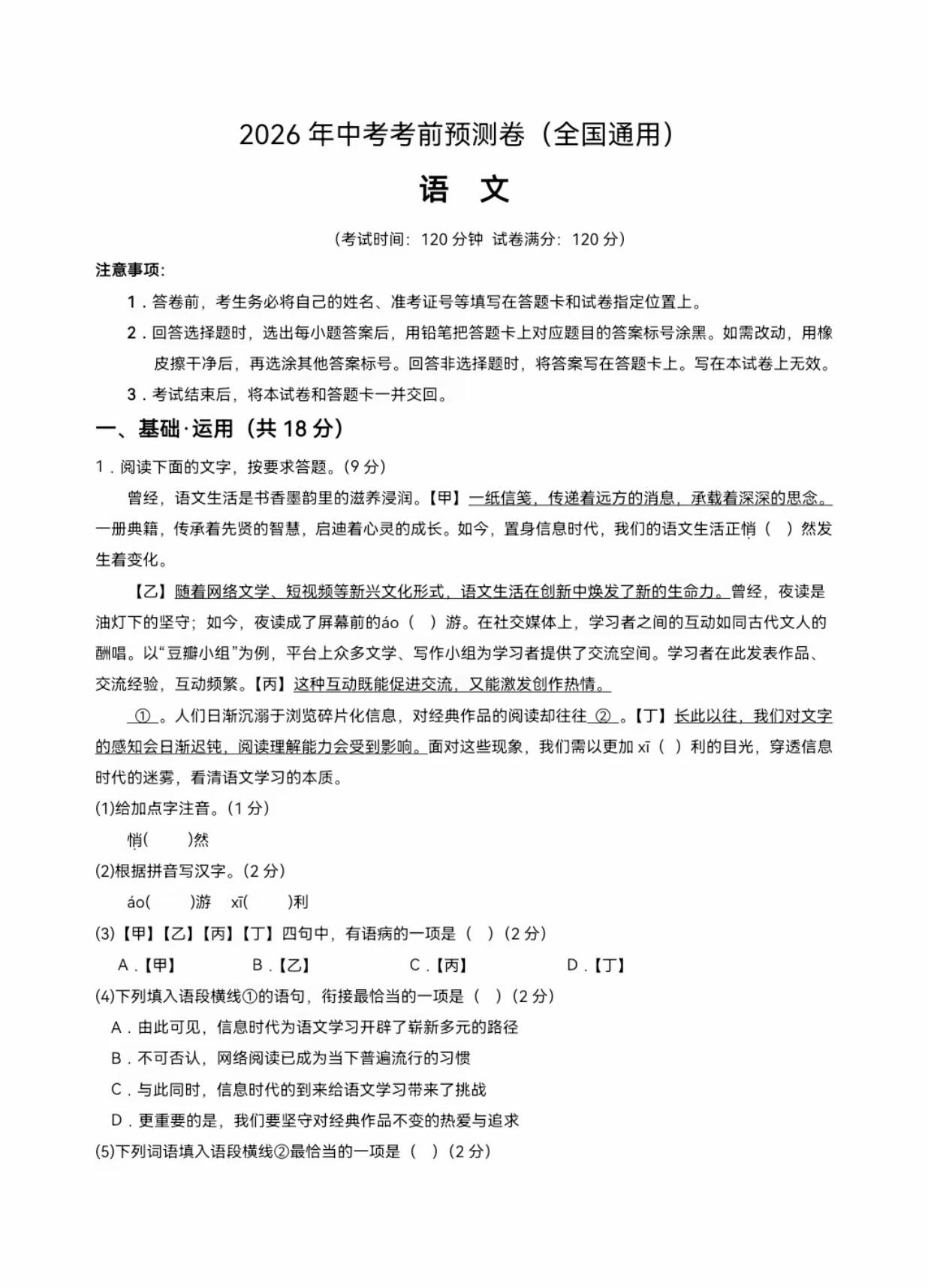 中考语文模拟试卷