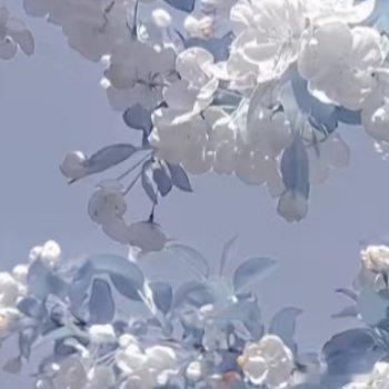 善不可不弘，恶不可不去。善心人人有，快乐你我他。 善念养善心，善心生善念。 德不