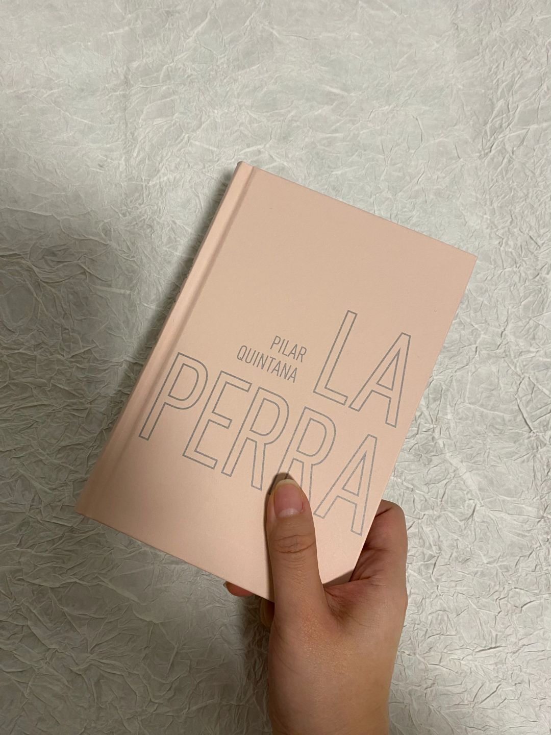 《母狗》灵魂深处的暴虐与母性何为