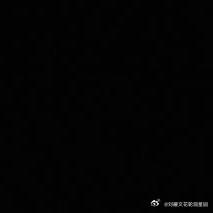 熊猫守护者 l日行一善 善良是心灵的灯塔，照亮前行的每一步；德行如细水长流，汇聚