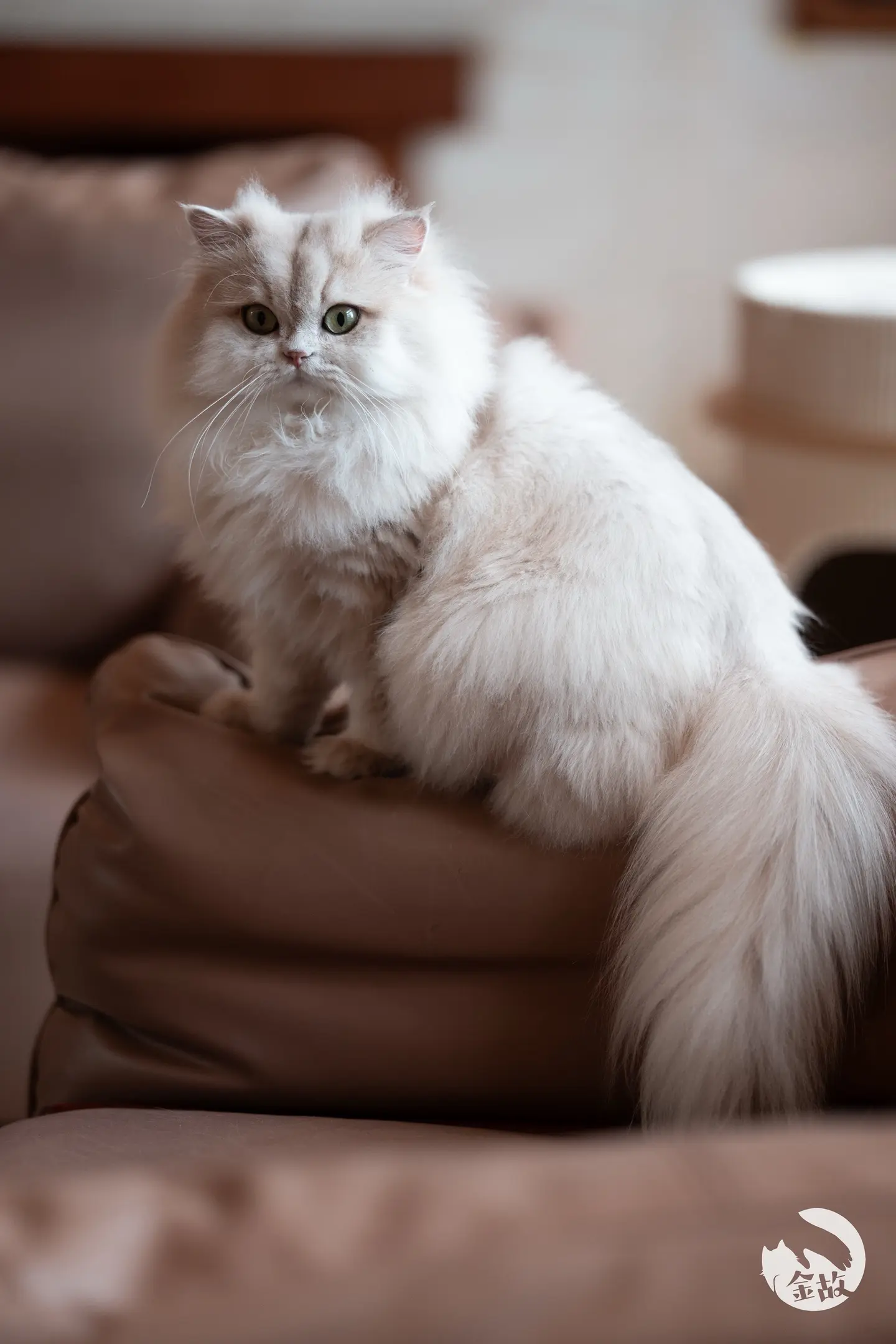 是慢慢变方的方小小哇❤️