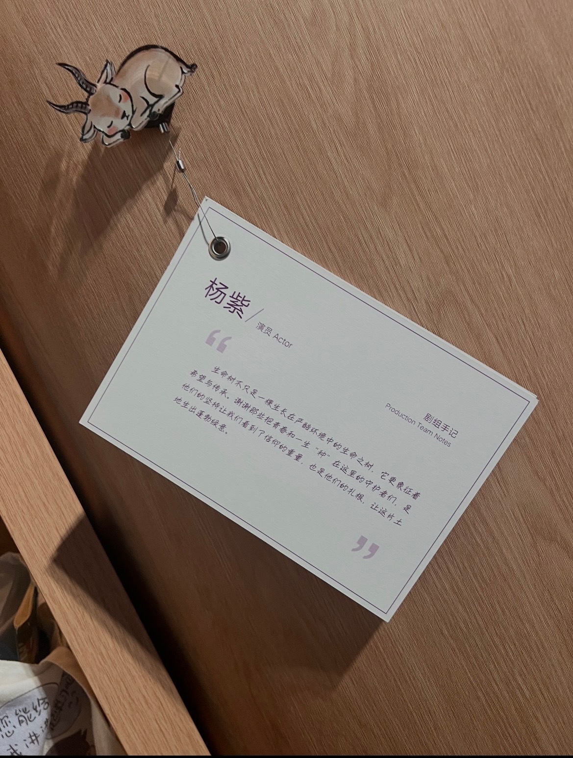 杨紫 国家自然博物馆《生命树》特展剧组手记（第一次随剧组到达拍摄地）刚下飞机时还