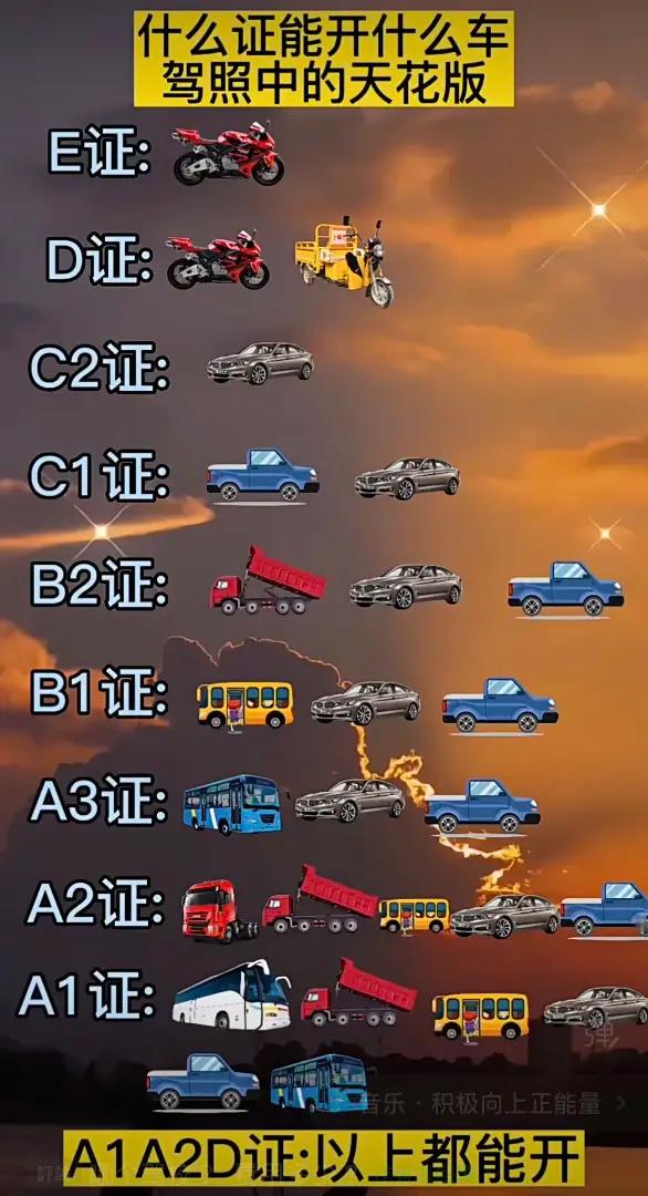 直观感受国内驾照！鹅鸭杀手游公测鹅鸭杀手游正式上线