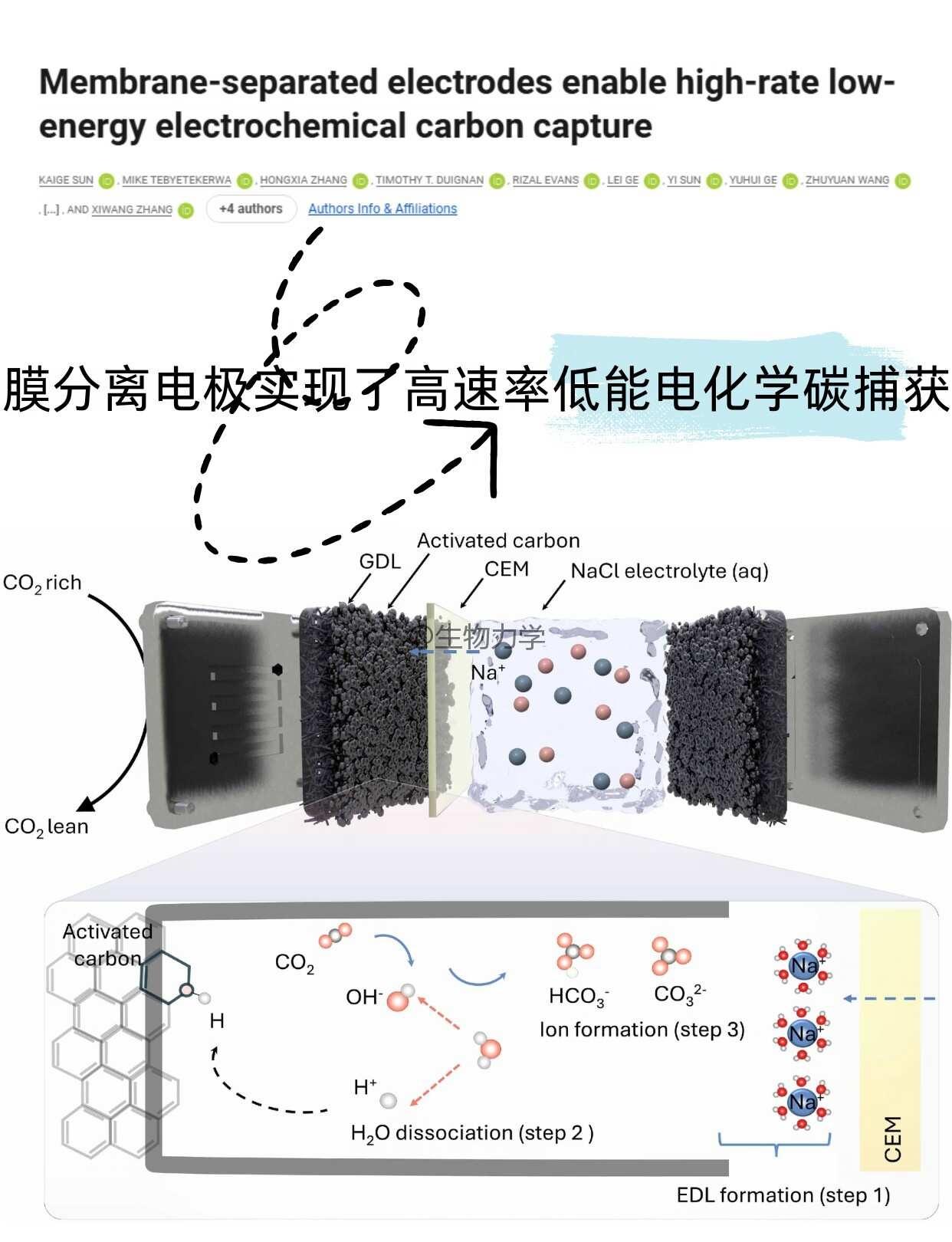 膜分离电极实现高速碳捕集
研究背景：电化学CO2捕集绿色模块化，但超电容摆动吸附
