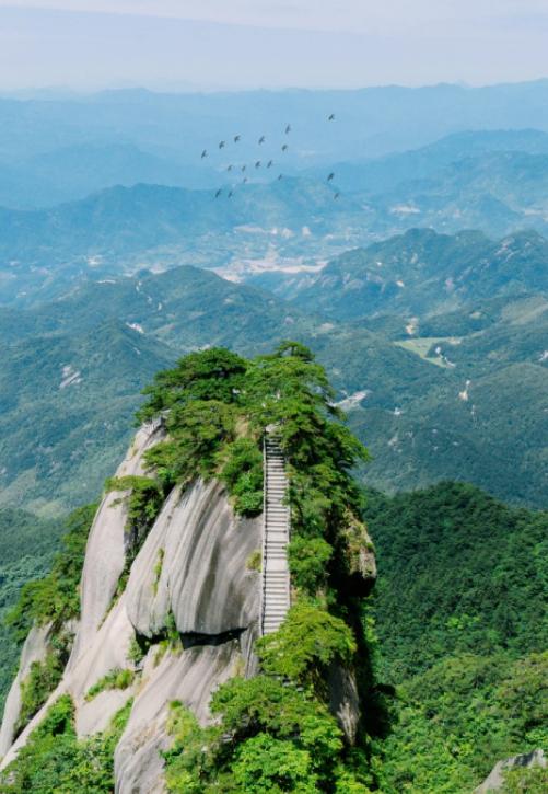 马斯克万亿登顶：星辰大海，还是资本造神？
亲爱的朋友们大家好，我是海林小百科，今