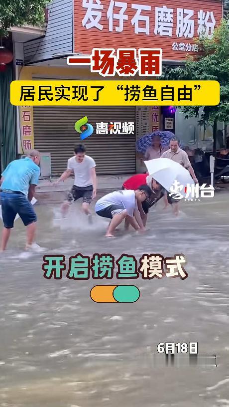 一场暴雨，居民实现了“捞鱼自由”!

接连一周的大雨，惠州涨水，倒灌水的地方还真