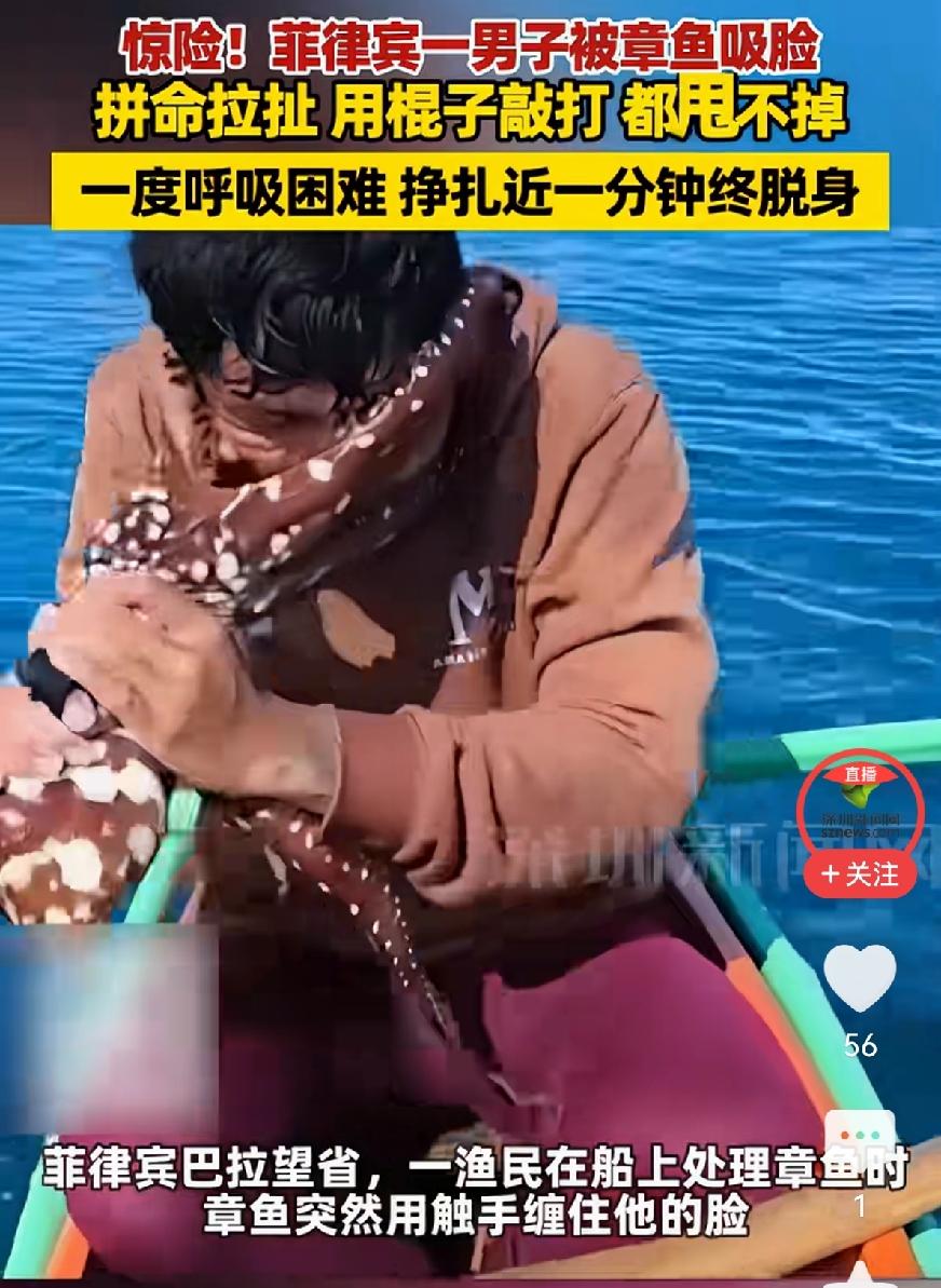 当你在船上处理一条章鱼时，章鱼的吸盘突然扣住你的口鼻。越拉扯越紧，越敲打越牢——