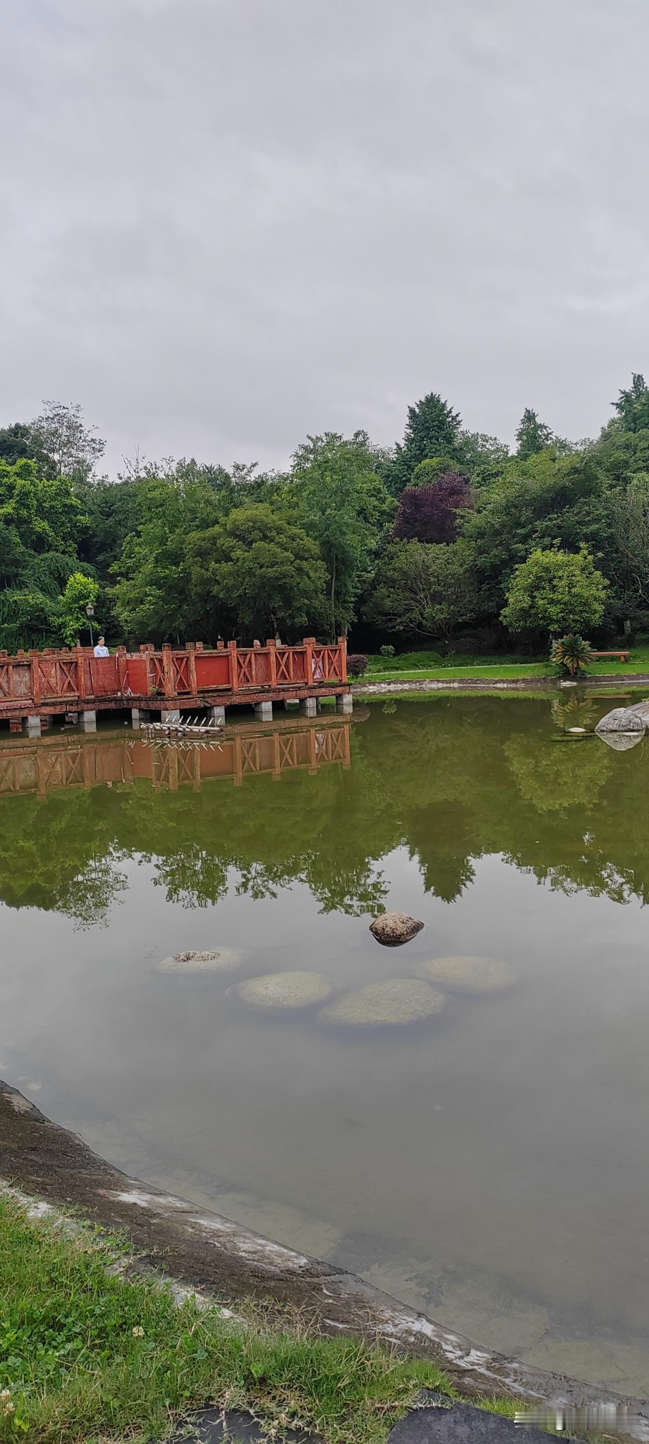 连下了好几天雨，今天清晨天刚放晴，这座城市公园处处透着湿润清爽。
 
湖面水波平