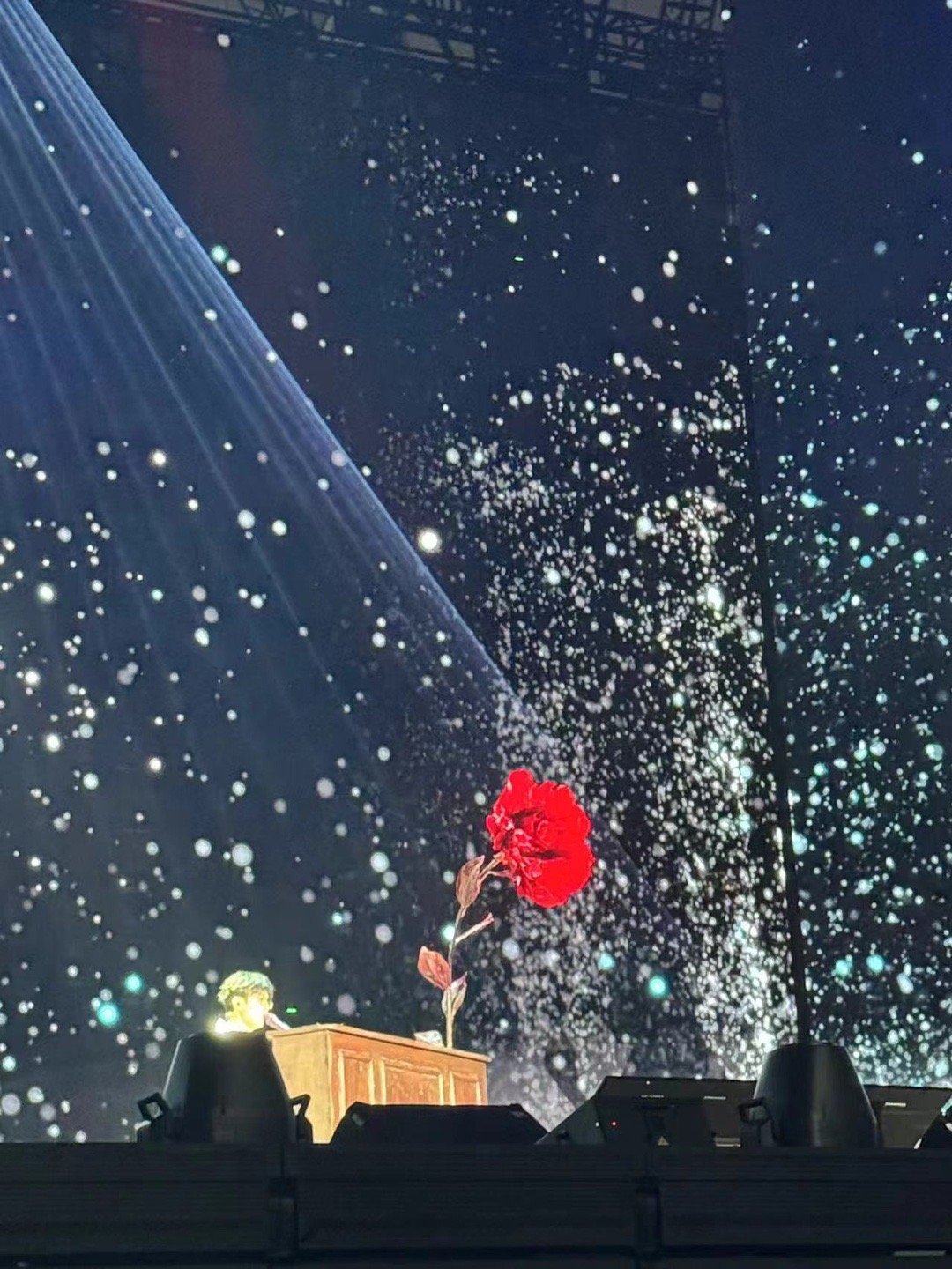 #许嵩钢琴上的玫瑰比脸还大##许嵩又弹钢琴了# 许嵩的钢琴技艺越发精湛，配上娇艳