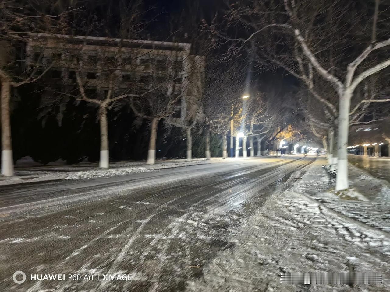 分享一张你最近随手拍的照片吧雪