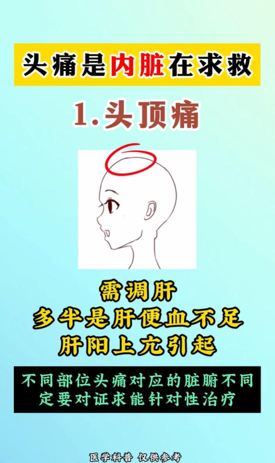 头痛位置不一样，调理脏腑的思路也各不相同