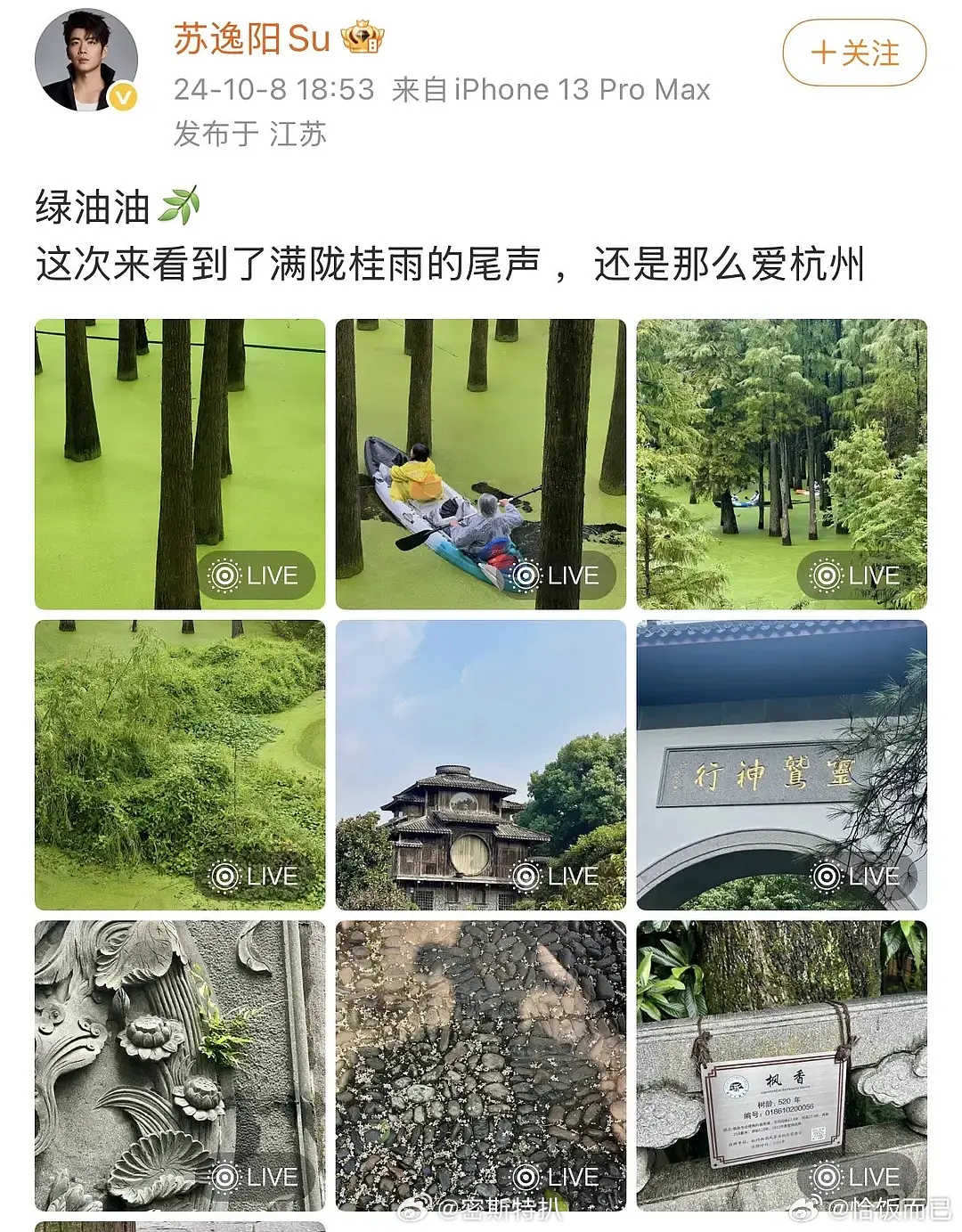 近期爆出来这对是真gay子啊？24年就在一起了 