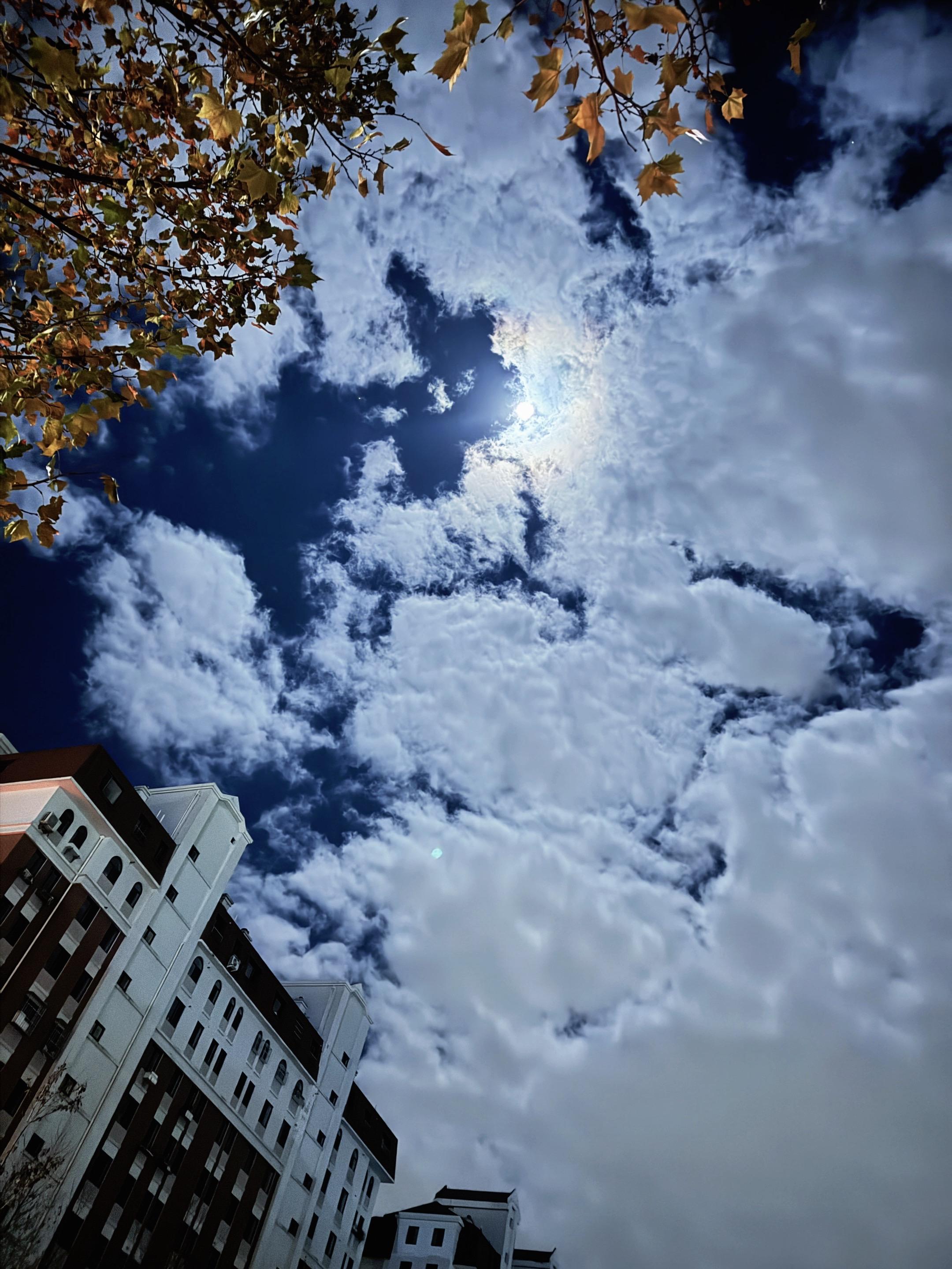 好景难遇 如你一般