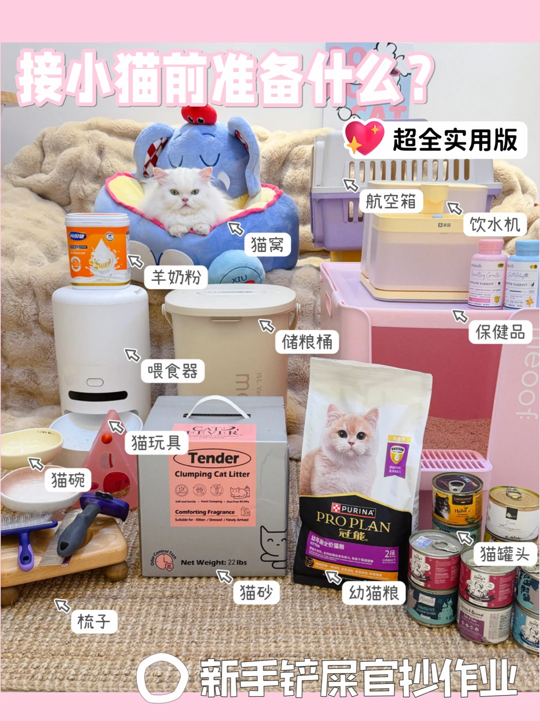 🐾新猫到家，这些东西提前备好！📝
