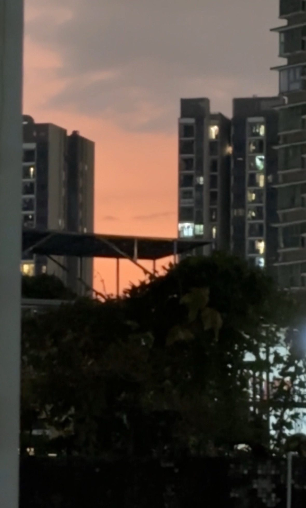 多肉青提蛋糕很推荐 