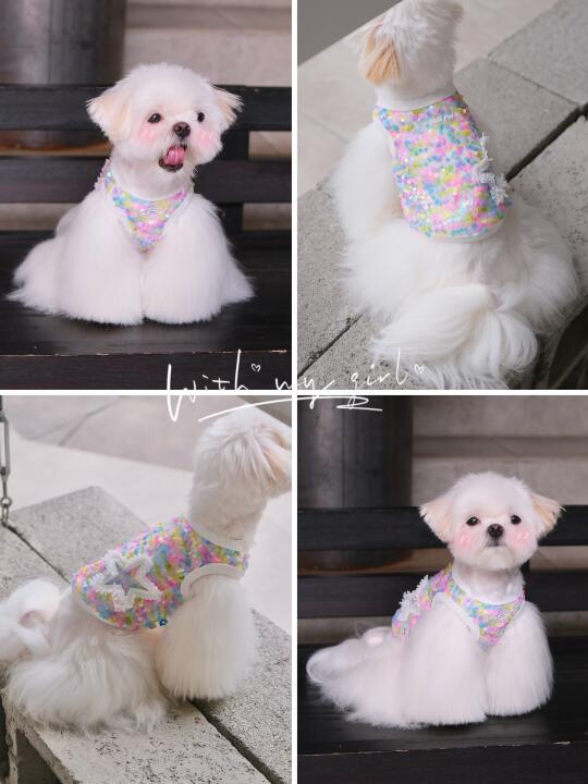 别摸鱼了～摸我可以吗？🧜‍♀️