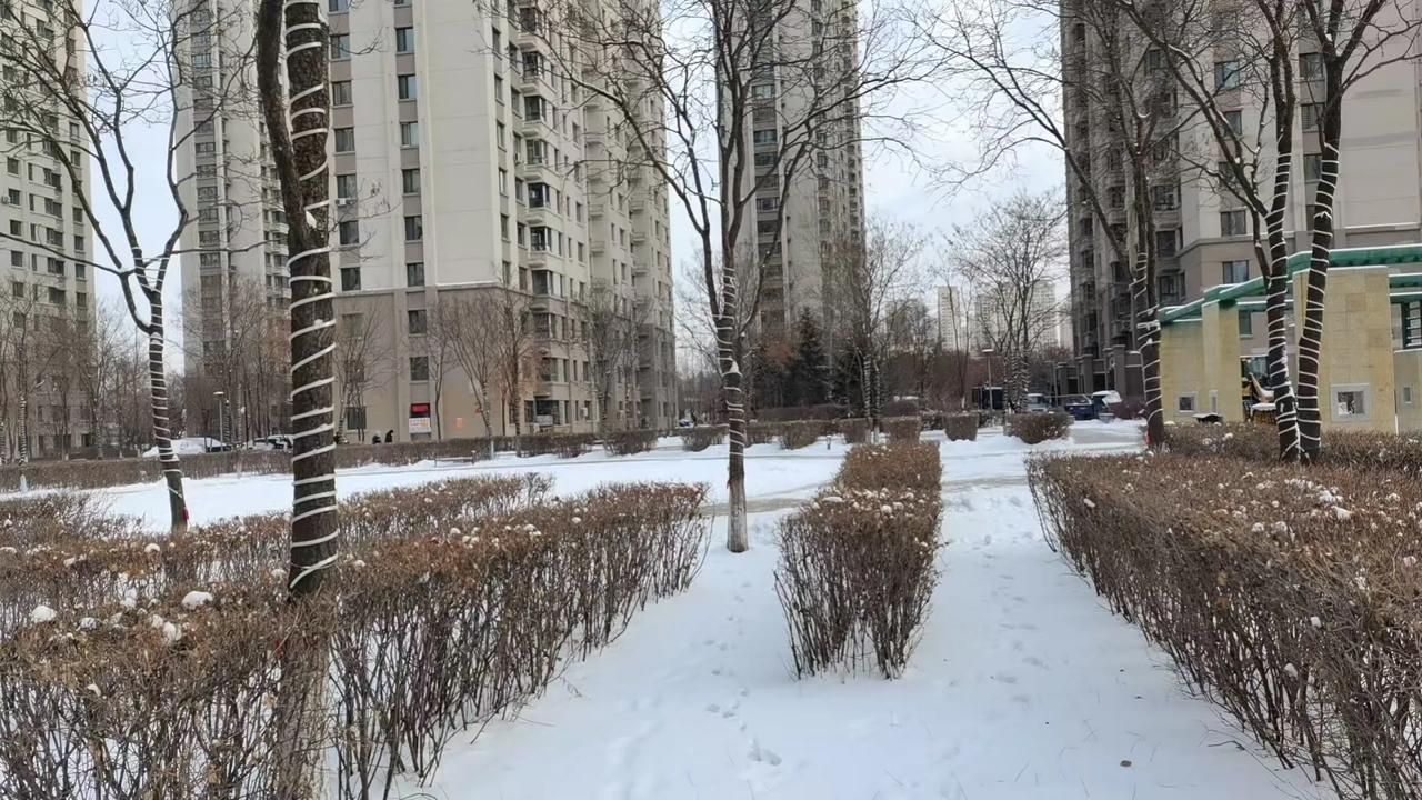 早上醒来，我的想法变了。昨天晚上想好了早上起来包牛肉圆葱馅饺子，转念一想，一大早