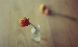 心思缜密，却又看上去“傻乐呵”的星座金牛座：看似慢半拍，实则爱思考金牛座的人，往