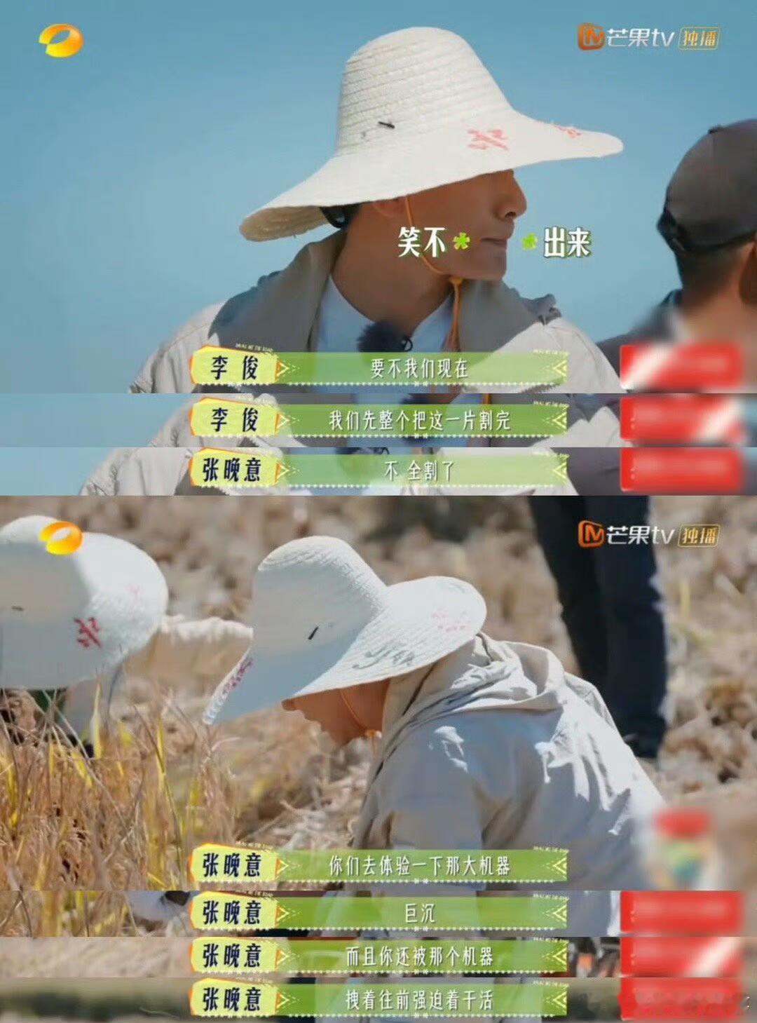 花儿与少年[超话]  重生之张晚意在非洲开收割机张晚意你还干活干上瘾了是吧！一点