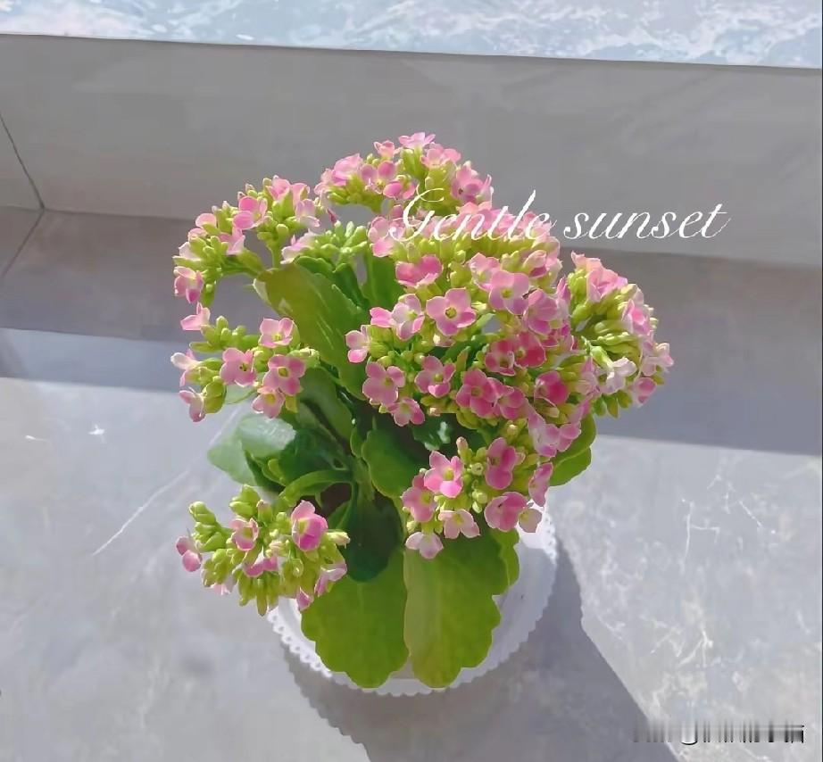 垃圾桶里的剩饭，吃垮的是公序良俗
 
某博主打着“在校女大学生”人设，靠吃垃圾桶