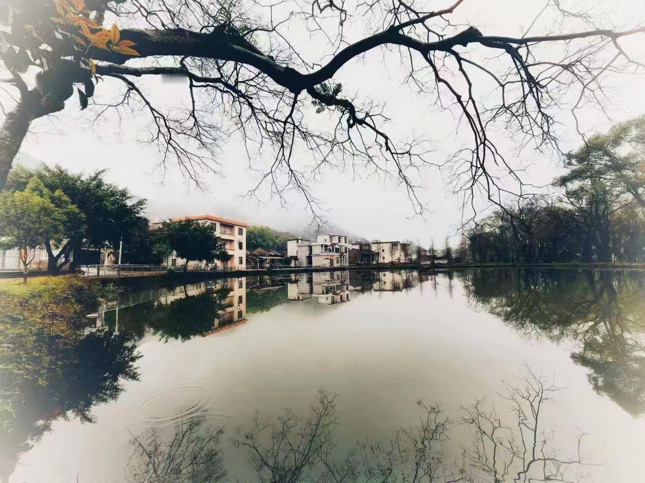 这一池水，是村子的魂。晨雾未散，山便笼在一片朦胧里，白墙黑瓦的屋舍，沿水而建，安