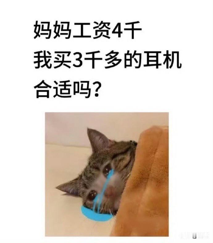 啥耳机还能拍照用的？还要三千多？

工资4000，还是妈妈的，结果孩子要买300