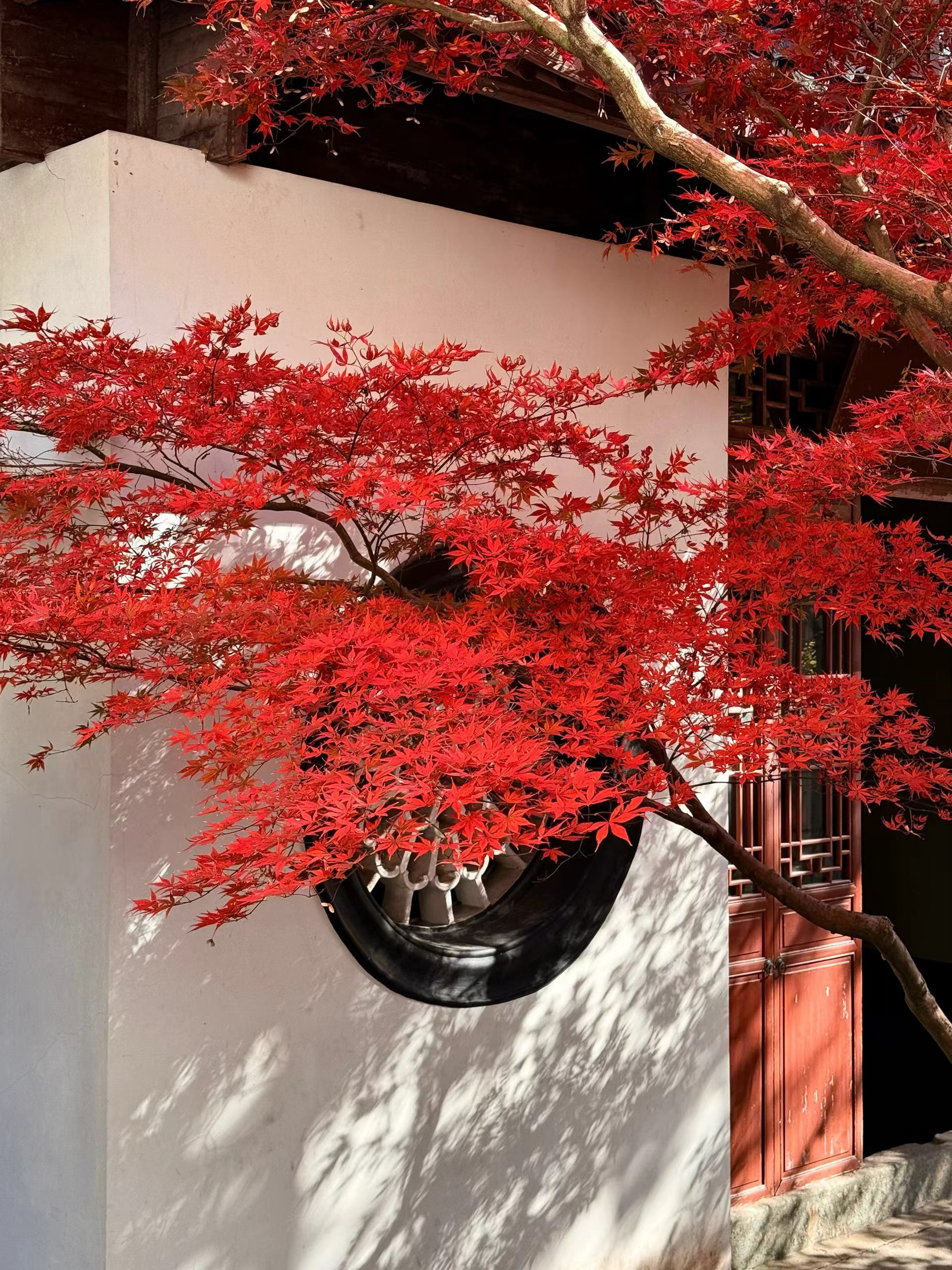 你伴侣的形象体现出的是你对自己的尊重程度所以我的咨询从不劝“该死的鬼”这人能不能