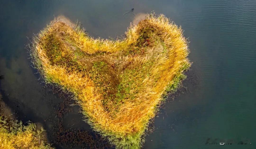 “两颗心”两种感受！

呼和浩特千岛湖最扎心的景观有3个，一个是冬天的雾凇和霞光