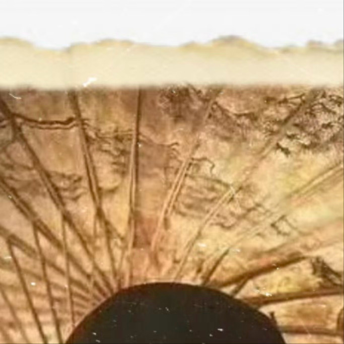 方灿 虐待老人 