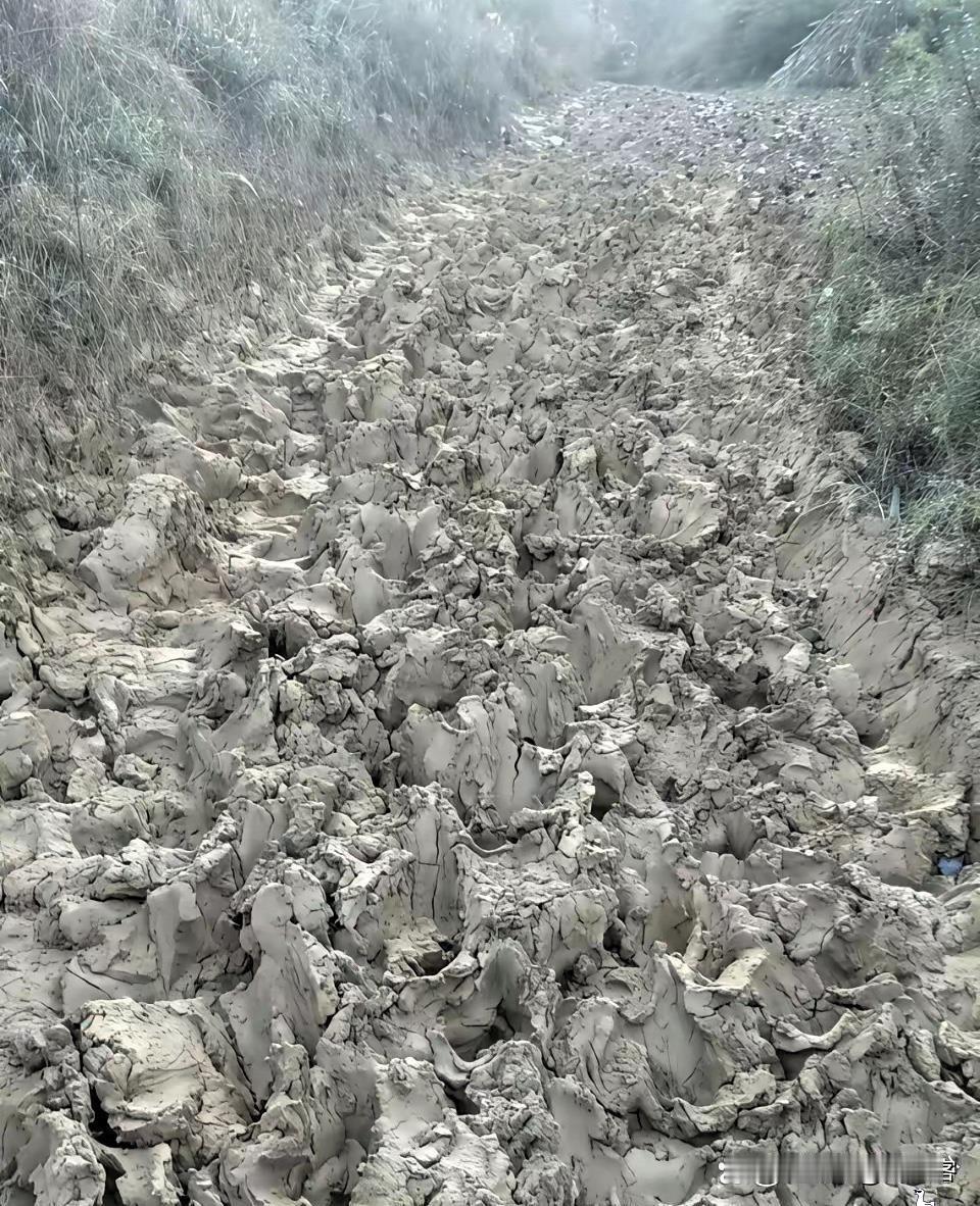 这条路，小时候没少走！8090后的伙伴们，大家有没有同感？