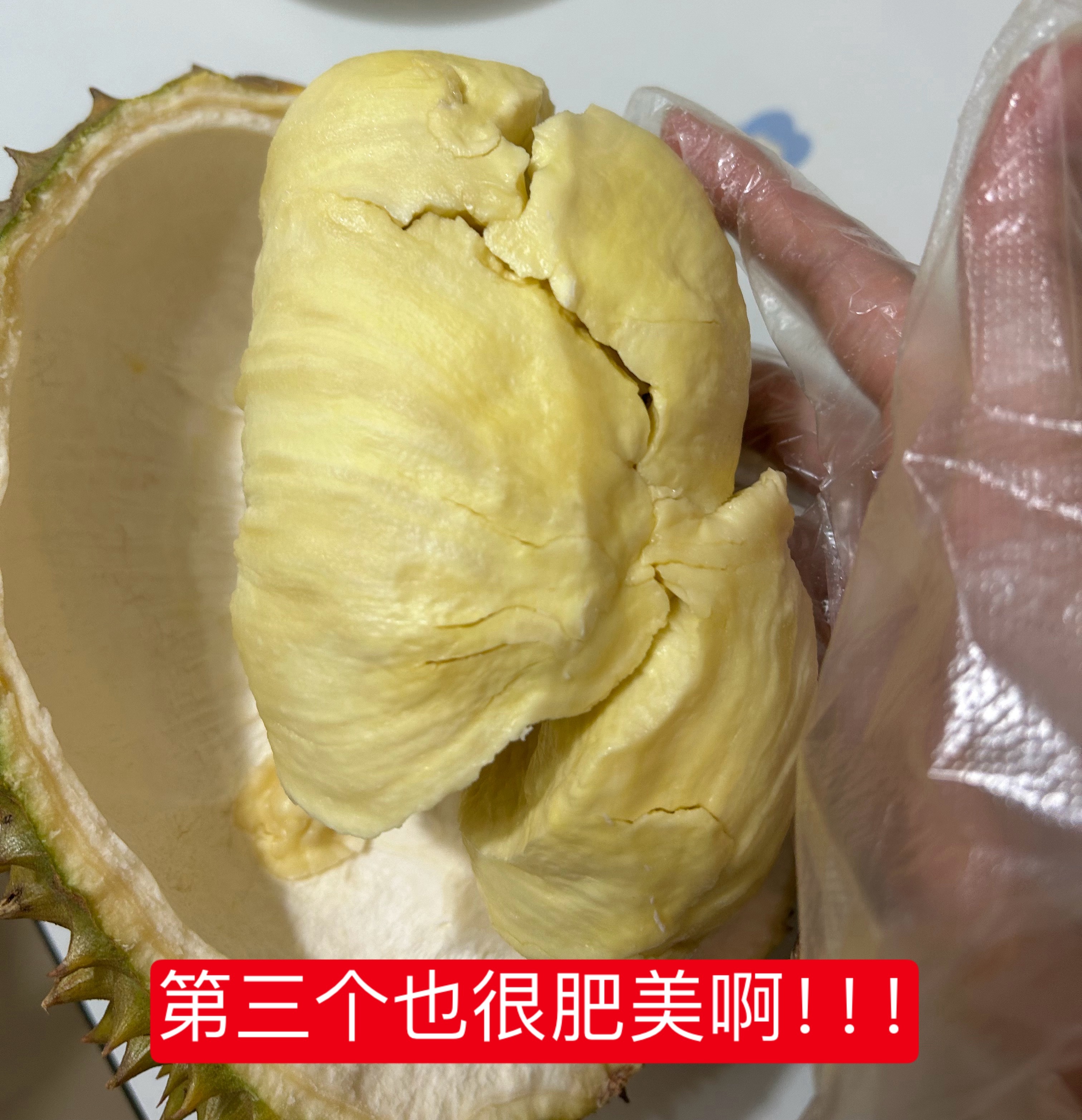 今晚爽吃榴莲