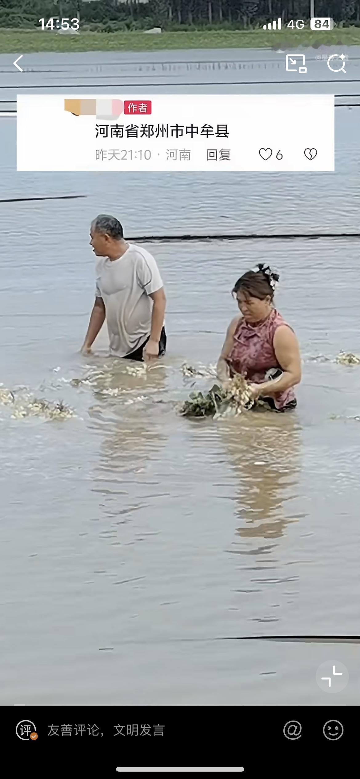 很多网友刷到视频，看到河南中牟农民开着挖掘机，在水里抢收花生，不少人疑惑，难道花
