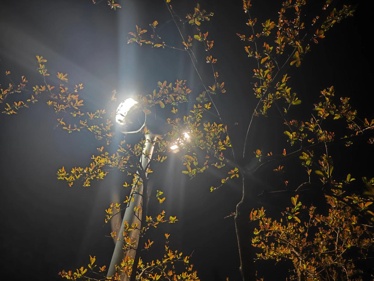 临沂滨河景区夜色