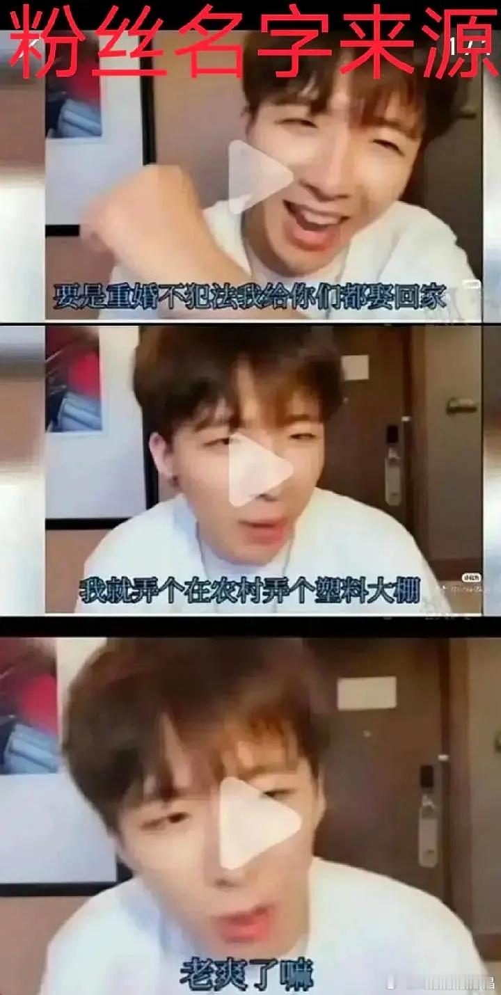 原来小棚妃名字是这么来的，蔬菜大棚啊 