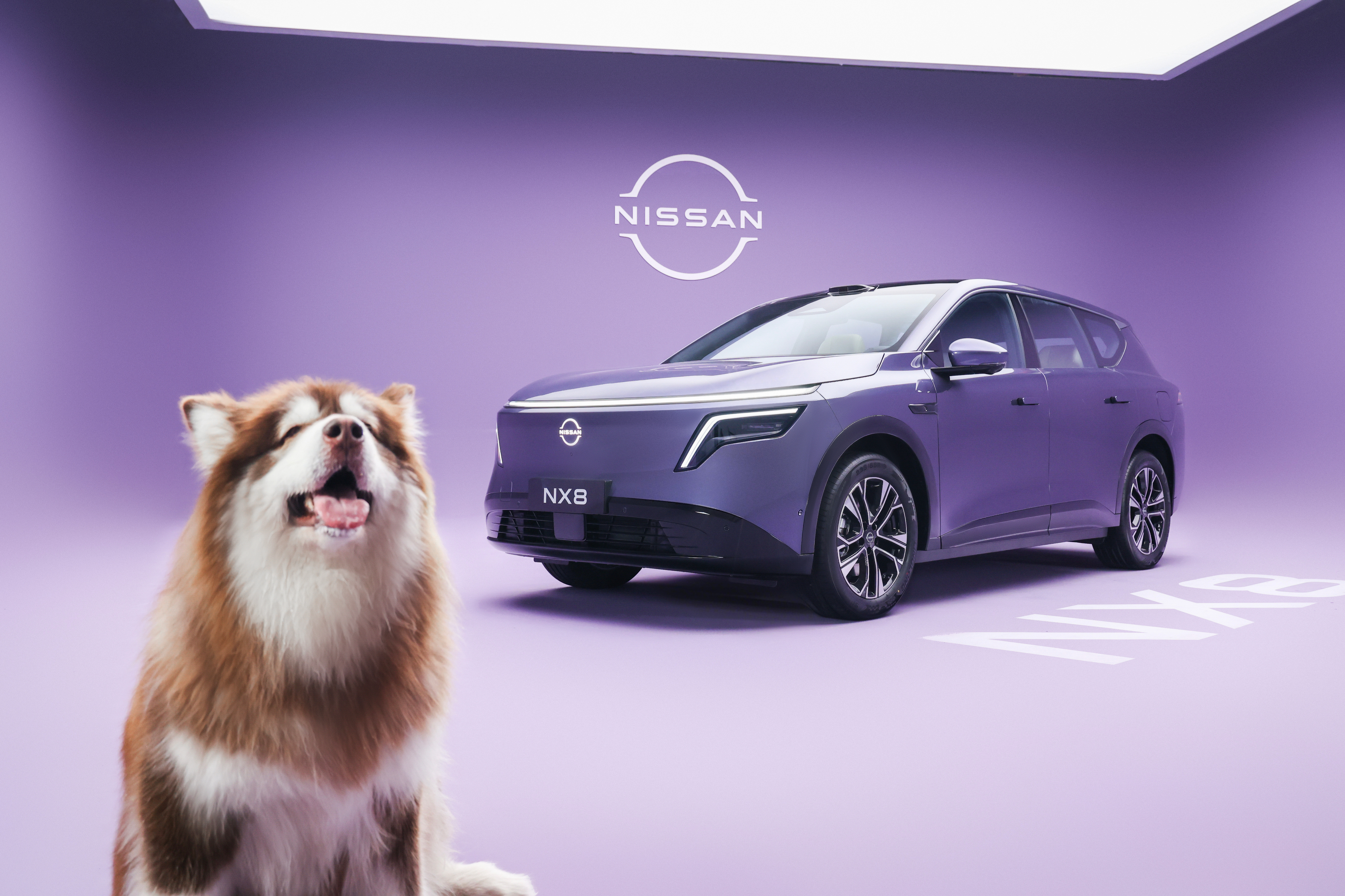 总有人说，家庭用车要学会“将就”？但在东风日产NX8这里，我们不认同。真正的家用