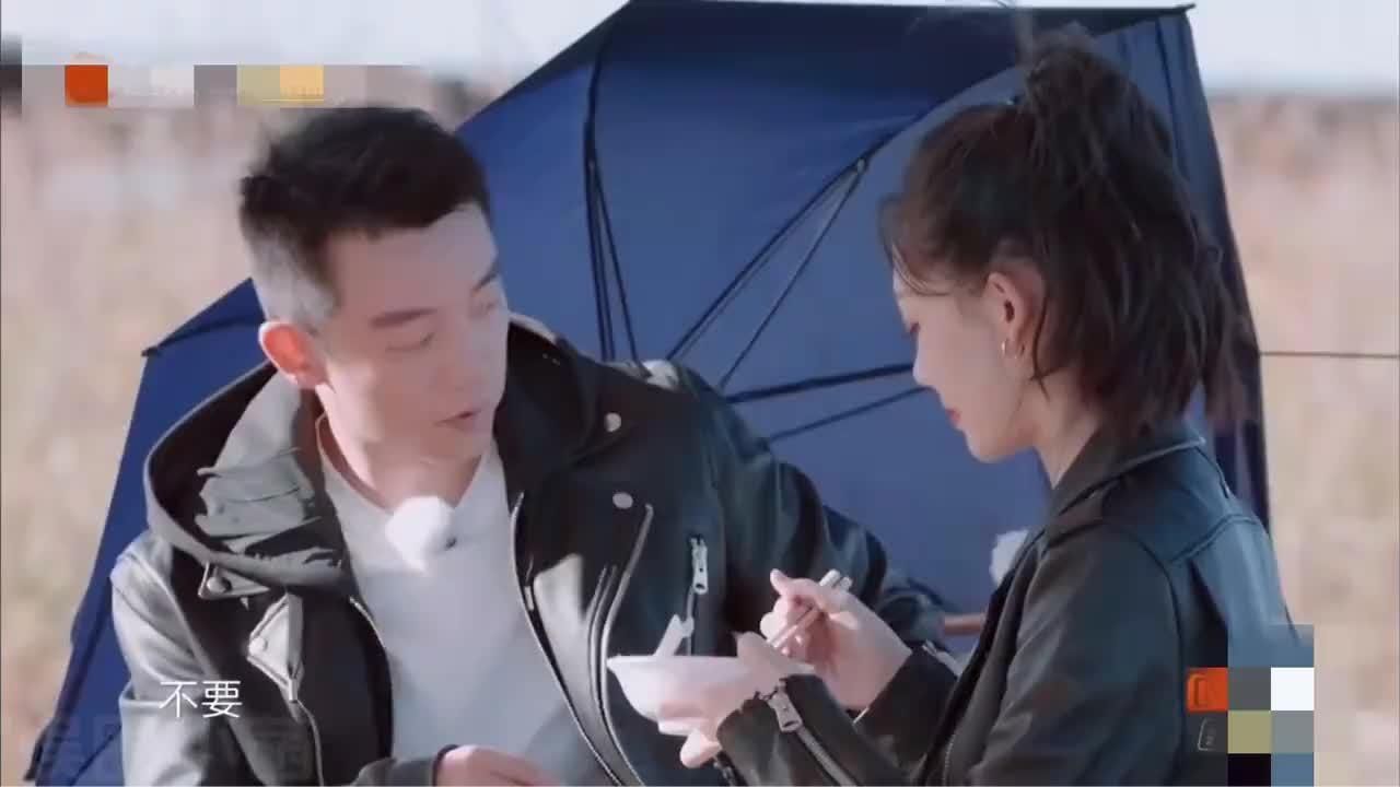 郑恺从不进厨房做家务，终于知道苗苗为何要带小孩去探班