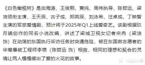 陈哲远、梁洁主演的 白色橄榄树  开启播前招商，爱奇艺预计1月播出。 