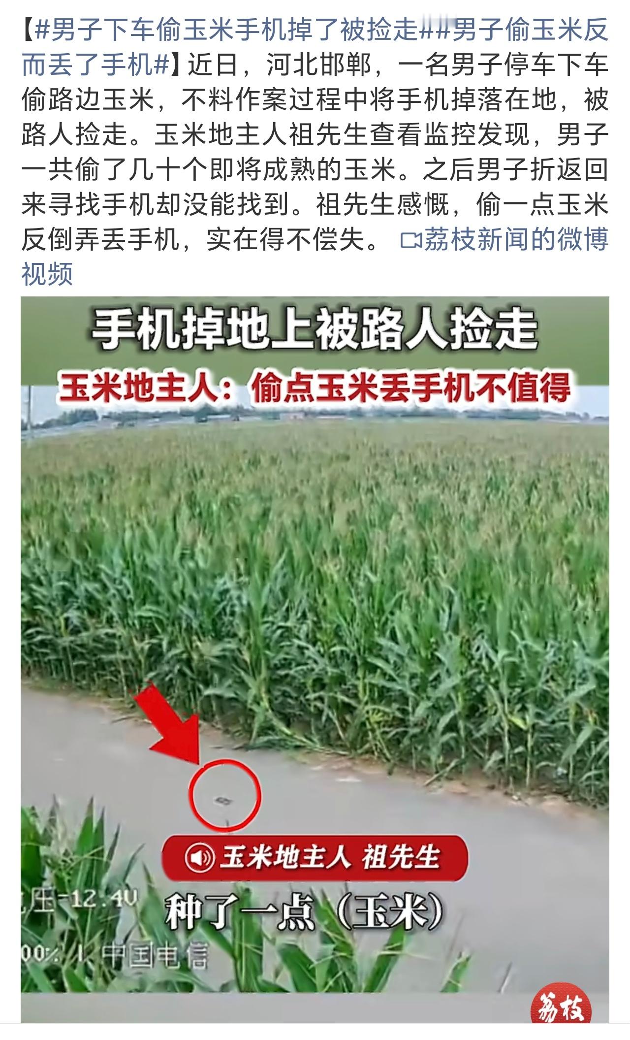 男子下车偷玉米手机掉了被捡走这就叫做螳螂捕蝉黄雀在后，捡了芝麻丢了西瓜，所以说做