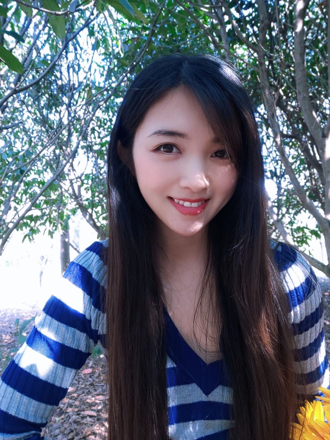 春日来信（哪张当封面呢）