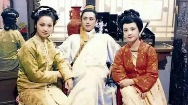 在封建时代的大户人家中，隐藏着一个群体，她们的生活如谜一般，表面是仆役，实则承载