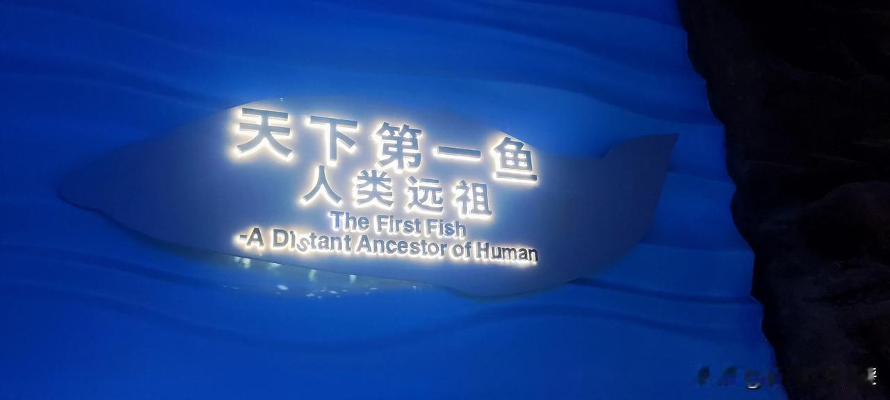 中国为什么让西方恐惧？
​不仅仅是中国证明了昆明鱼是人类远祖。
​更重要的是中国