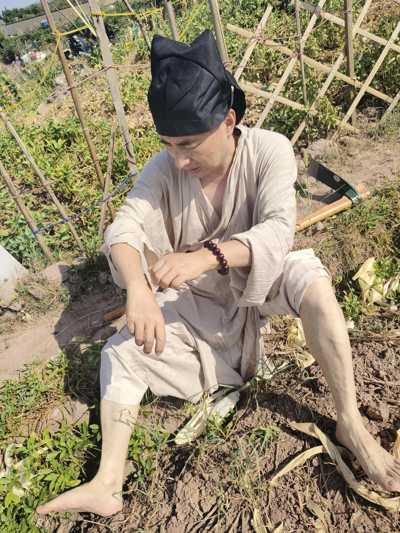 七绝·回乡偶作
〔当代〕邹謇

经年作客似飞蓬，
惯听萧萧四野风。
独向疏篱闲坐