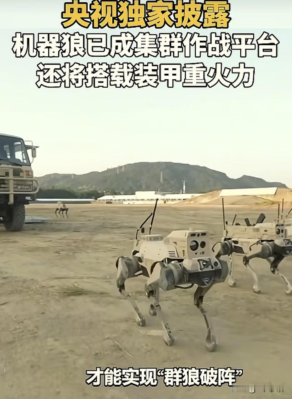 最新消息！
厉害了我的国！如果发生战争，他国士兵只能和一群机器打仗了！
根据央视