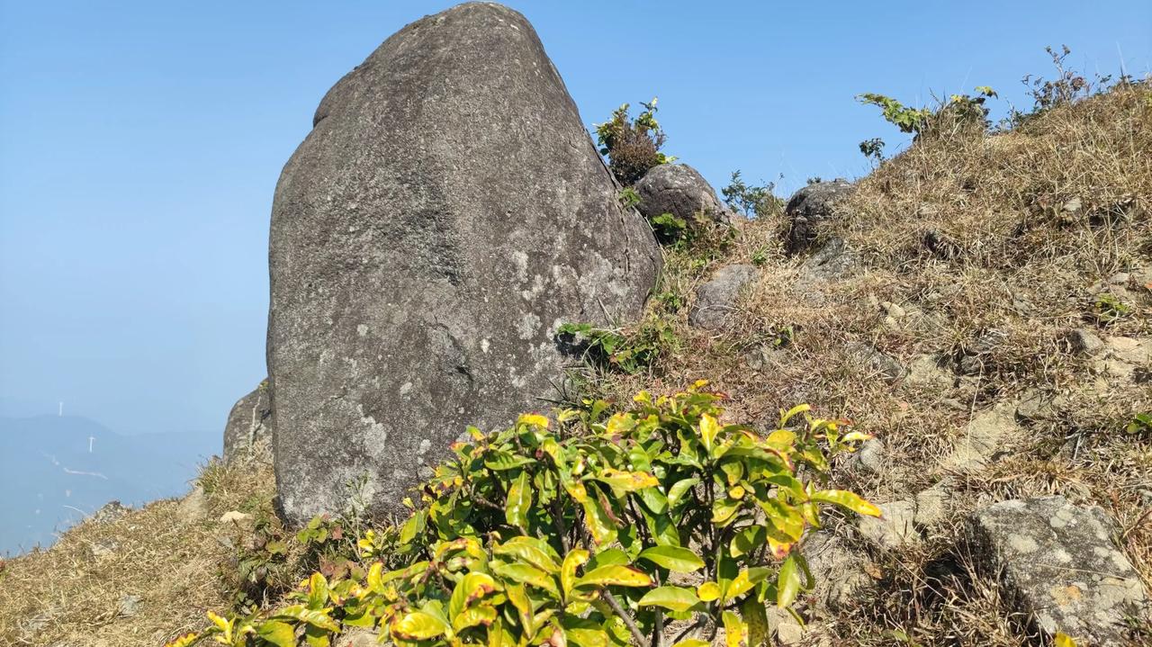 你对2025年有着怎样的憧憬?没什么憧憬，只希望不被恶刻意区别，不被不公对待，生