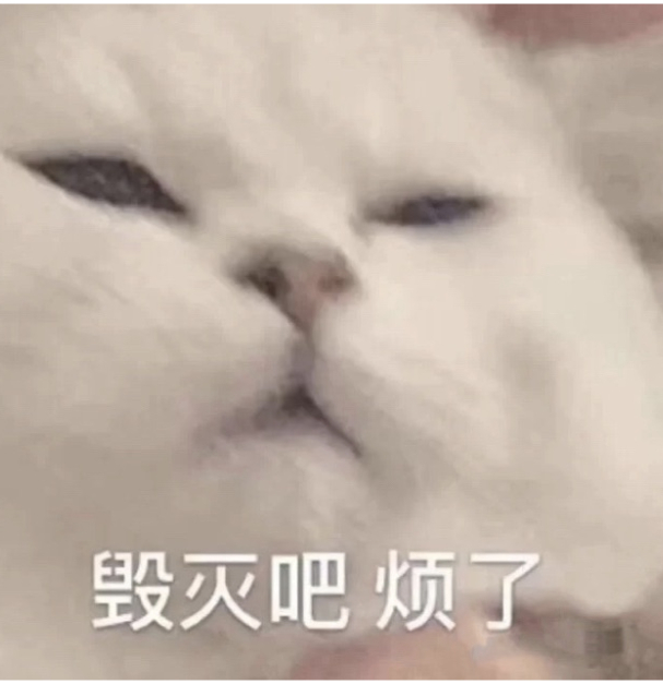 约基奇和特雷杨同时历史地位暴跌嗯一天。森林狼2比1掘金