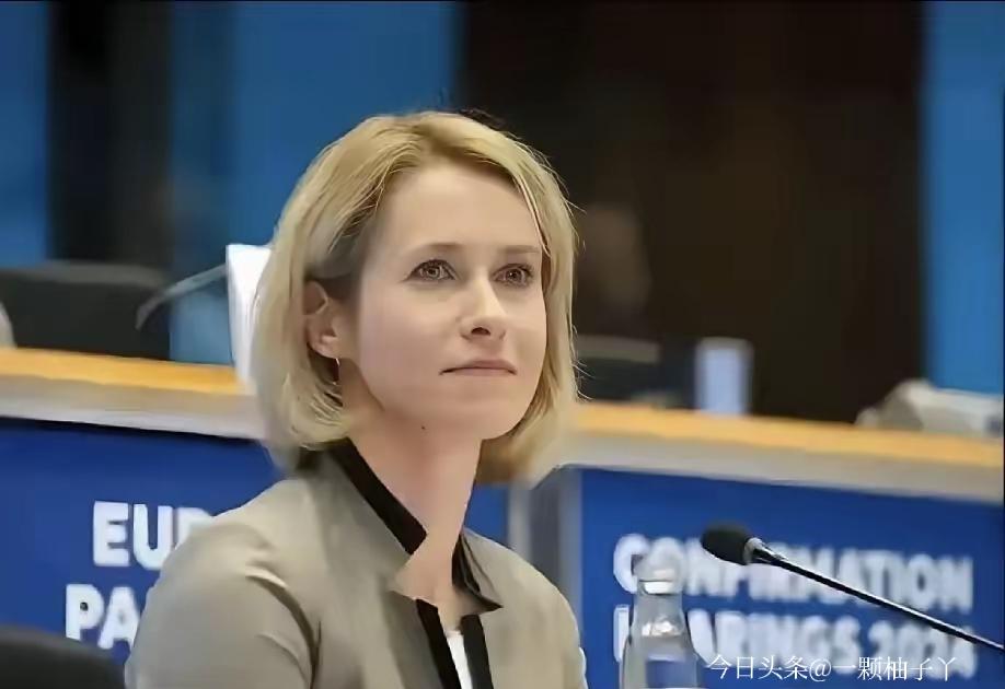 欧盟外交负责人卡拉斯在记者会上公开说过：现在袭击中东的无人机，和天天袭击基辅的是