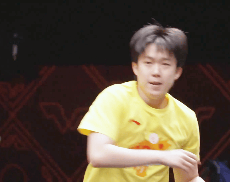 王楚钦 把你带回家可以吗